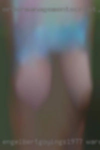 Engelbertgoyings1977 Wardtown VA